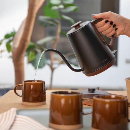 LIVOO 1L 1200W Vintage Gooseneck Electric Water Kettle, Precision Pouring Spout, Ergonomic Handle, Auto Shut-off
